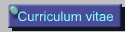 Curriculum vitae