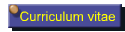 Curriculum vitae
